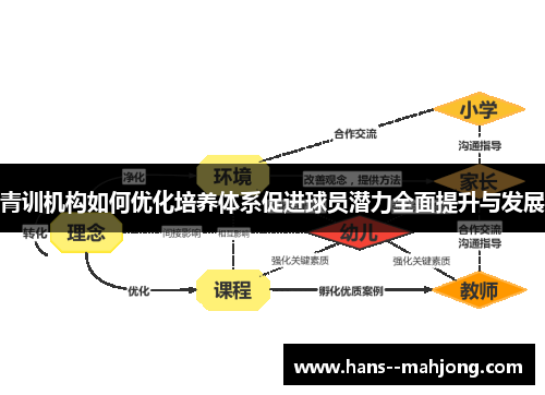 青训机构如何优化培养体系促进球员潜力全面提升与发展